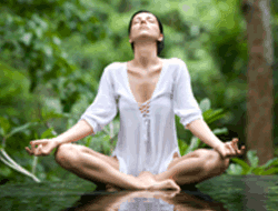 Yoga, Concentration And Mood